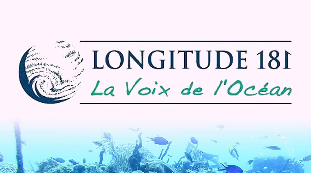 Protection des Écosystèmes Marins : Guide de Plongée Responsable
