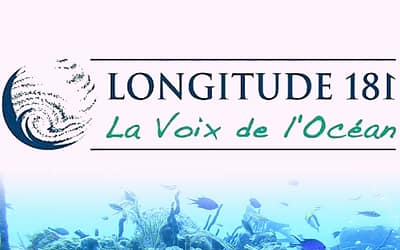 Protection des Écosystèmes Marins : Guide de Plongée Responsable